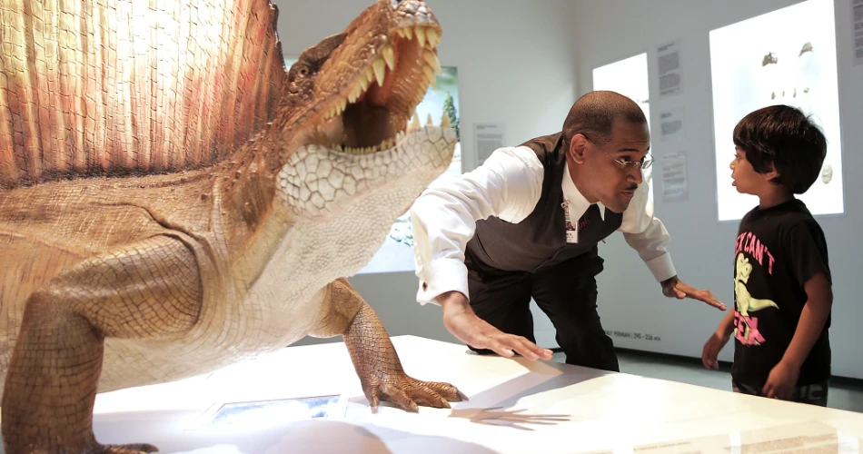 Las 20 Mejores Cosas Para Hacer En Houston