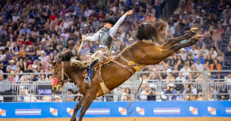 Las 20 Mejores Cosas Para Hacer En Houston