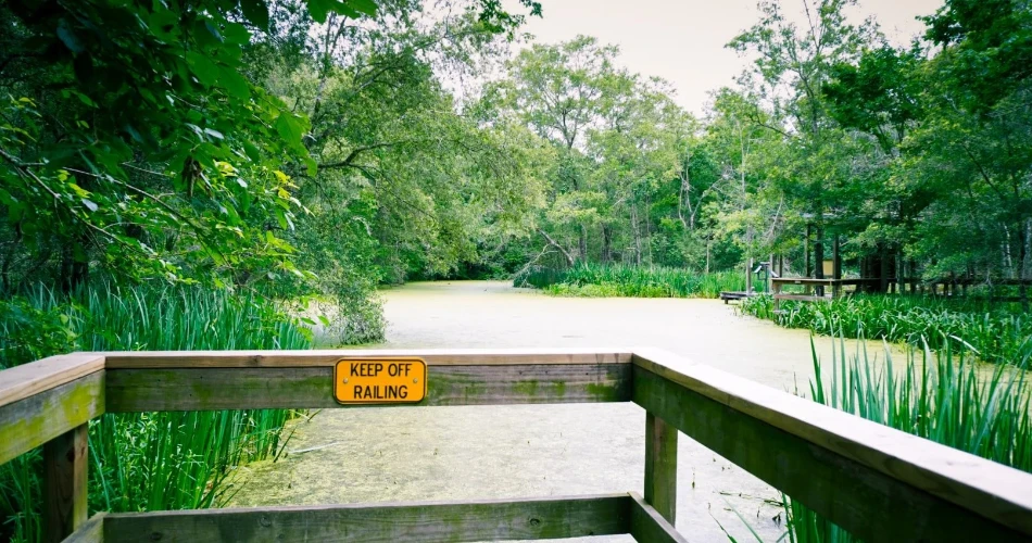 Las 20 Mejores Cosas Para Hacer En Houston