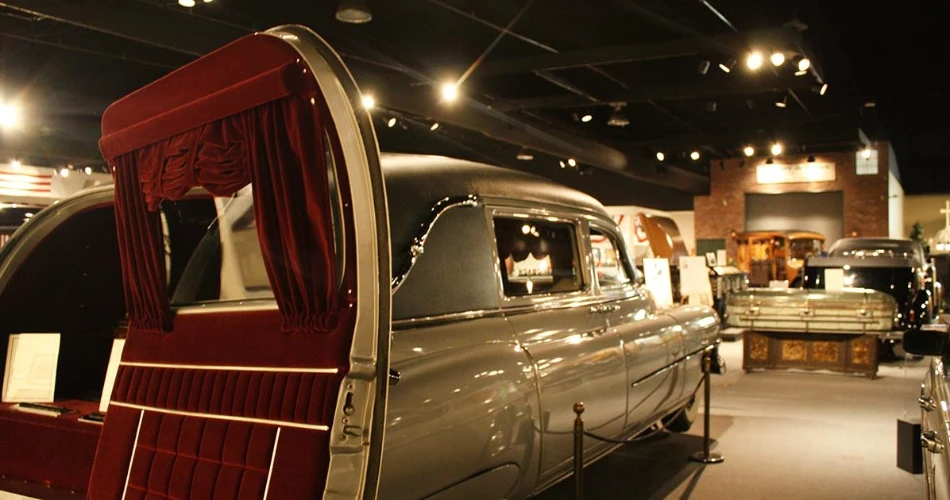 Las 20 Mejores Cosas Para Hacer En Houston