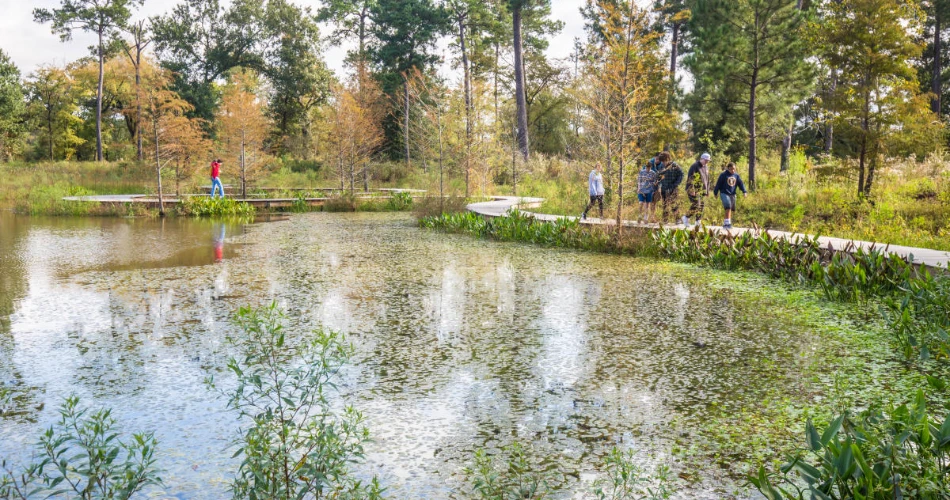 10 Best Things to Do for Couples in Houston, Texas