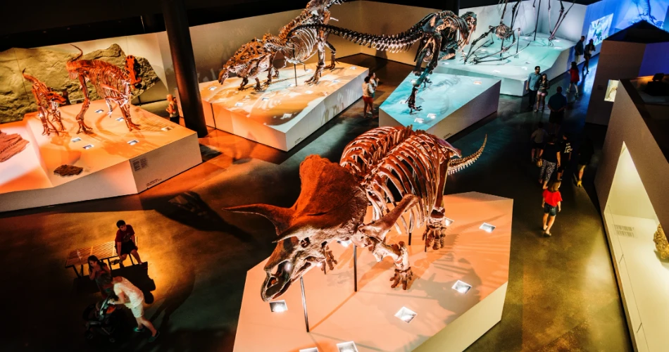 10 Mejores Cosas que Hacer en Houston con Niños