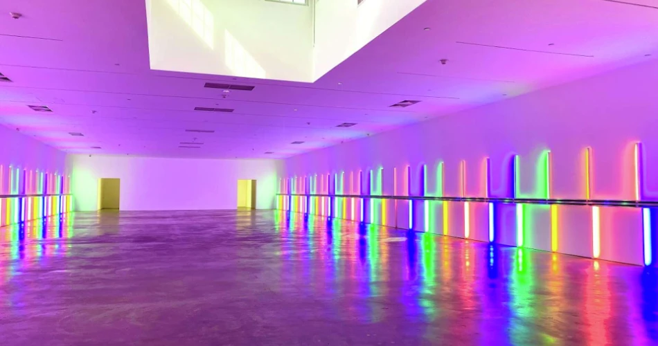 10 Museos Principales para Visitar en Houston