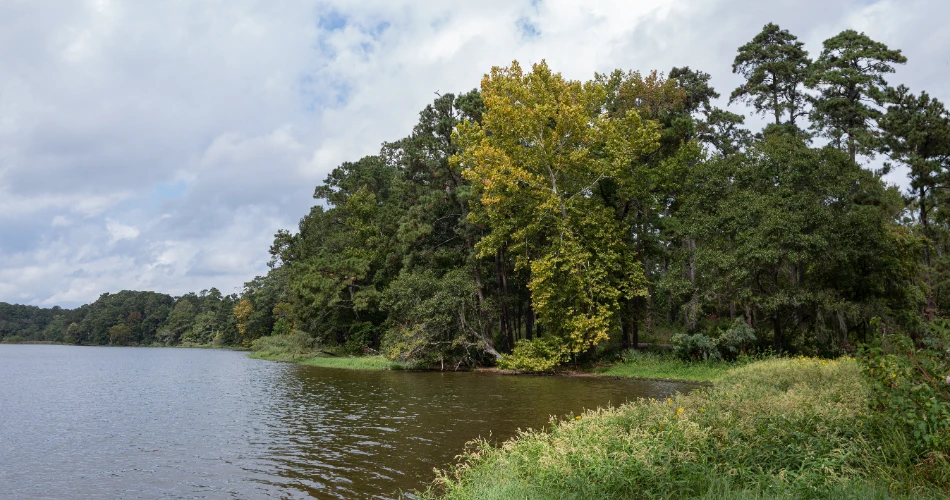 Las 10 mejores excursiones de un día desde Houston