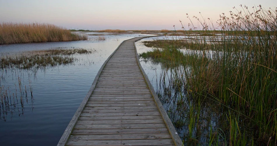 Las 10 mejores excursiones de un día desde Houston