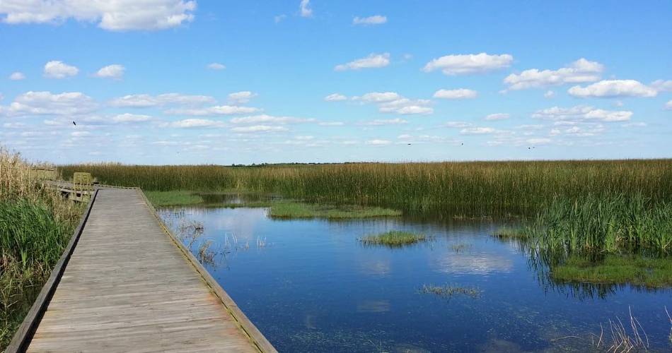 Las 10 mejores excursiones de un día desde Houston