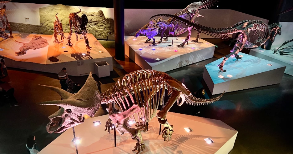 A Weekend in Houston – Travel Guide